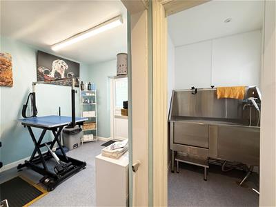 Picture 16